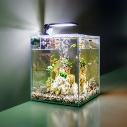 Category image: Aquarium Lighting